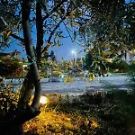 Eden Villa *