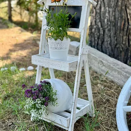 Villa Eden *