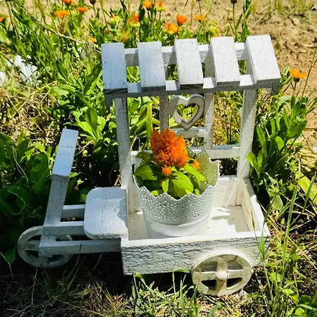 Eden * Nea Iraklitsa