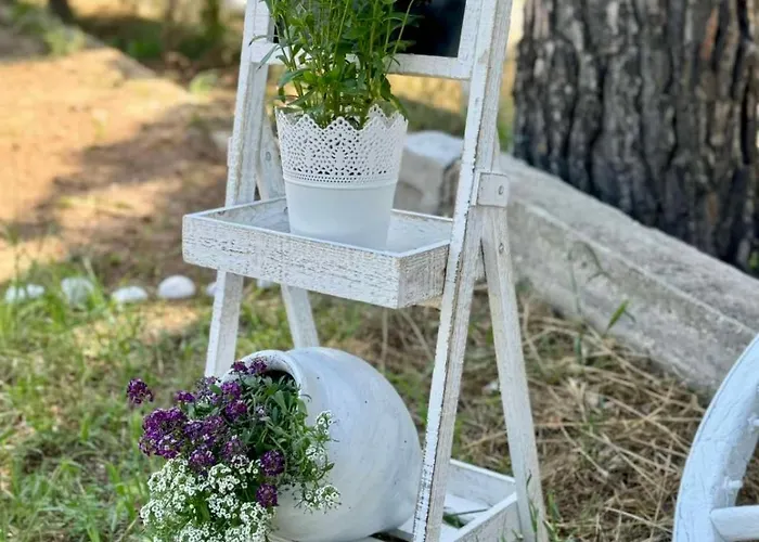 Vilă Eden *